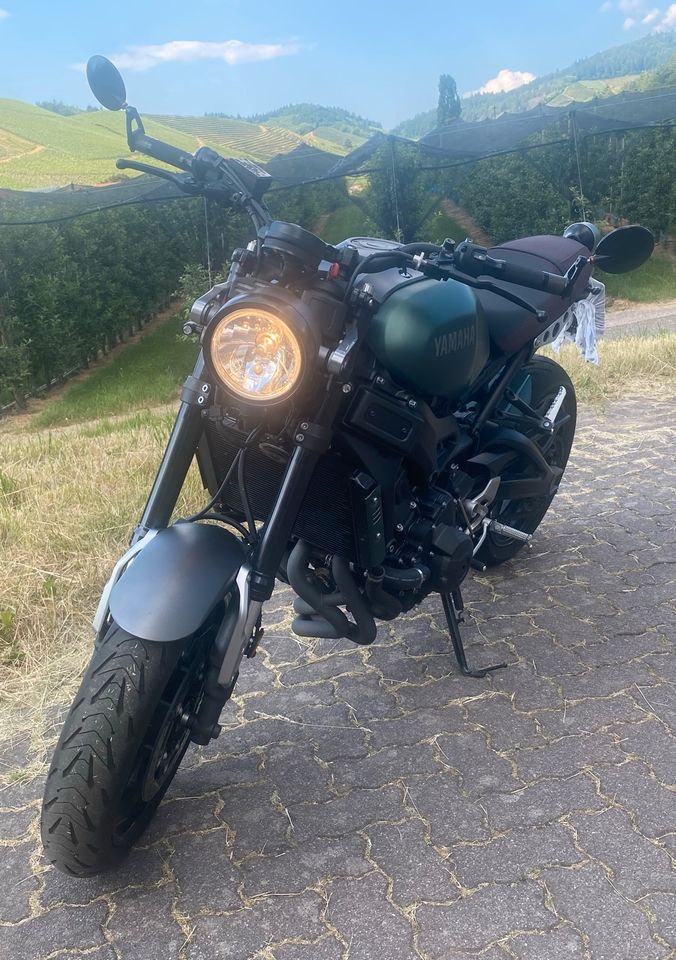 Yamaha XSR900 in Oberkirch