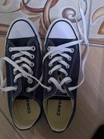 Converse all star Damen Bayern - Waldbüttelbrunn Vorschau