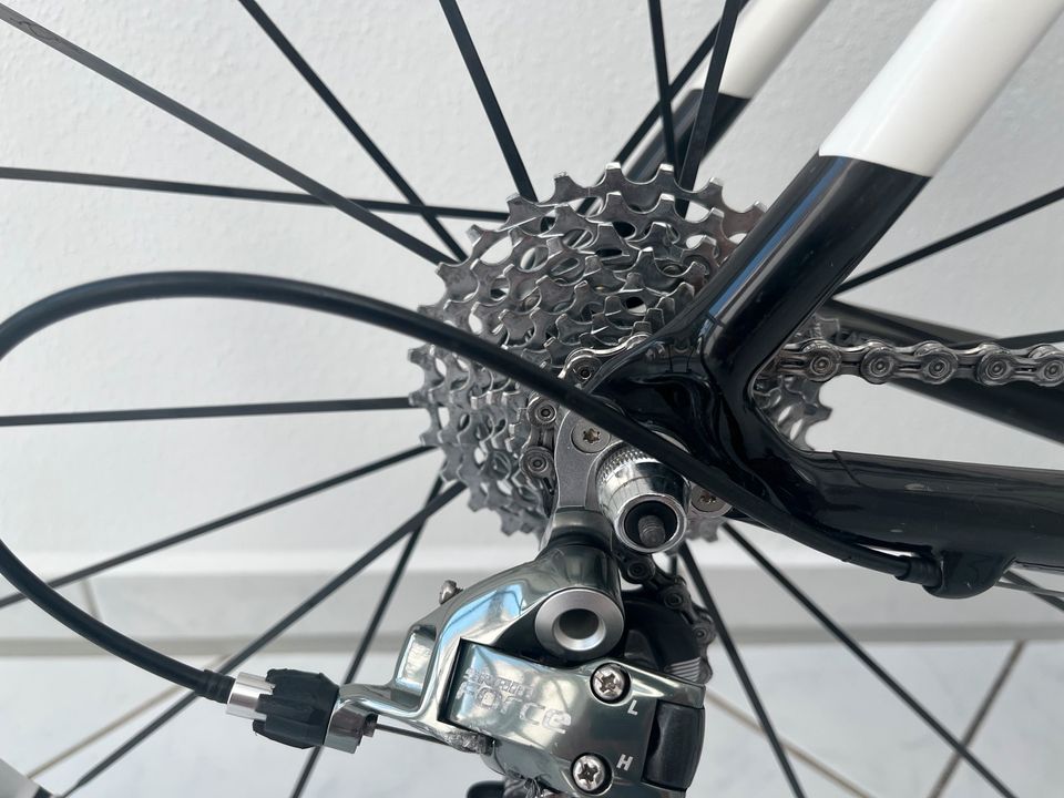 Simplon Pavo Rennrad—>optimales Einstiegsrad in Obermeitingen