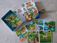 Erste Spiele Ravensburger Wurster Nordseeküste - Nordholz Vorschau