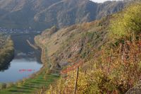 brachliegende ehemalige Weinbaufläche, ca. 260 m² Rheinland-Pfalz - Neef Vorschau