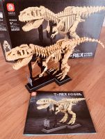 + TOP + Tyrannosaurus Rex Fossil + FORANGE FC6212 + RARITÄT + Münster (Westfalen) - Centrum Vorschau