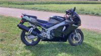 Motorrad Kawasaki ZX600F Rheinland-Pfalz - Steinfeld Vorschau