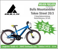 Bulls Tokee Street Blau 20 Zoll 3 Gang Kinderfahrrad Mountainbike Niedersachsen - Ostrhauderfehn Vorschau