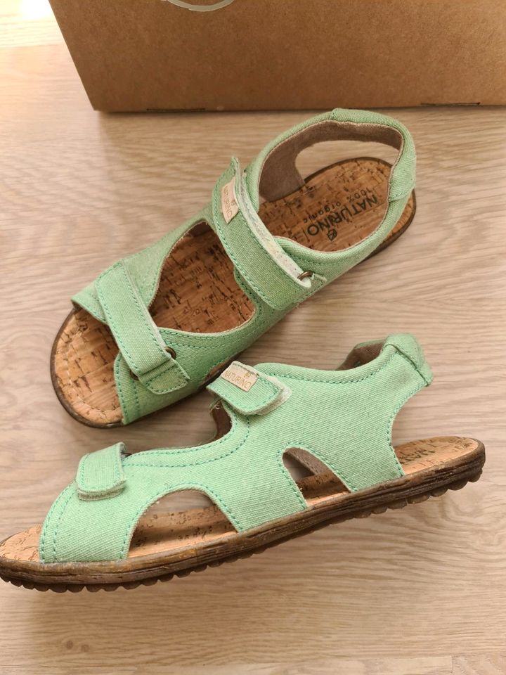 Naturino Sandalen Sky organic in Grün Gr.35 in Speichersdorf