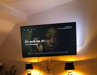 !! BASTLER !! Defekter TV 55Zoll Philips Ambilight Niedersachsen - Hildesheim Vorschau