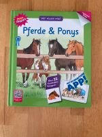 Magic Dadoo Pferde & Ponys Baden-Württemberg - Gaggenau Vorschau