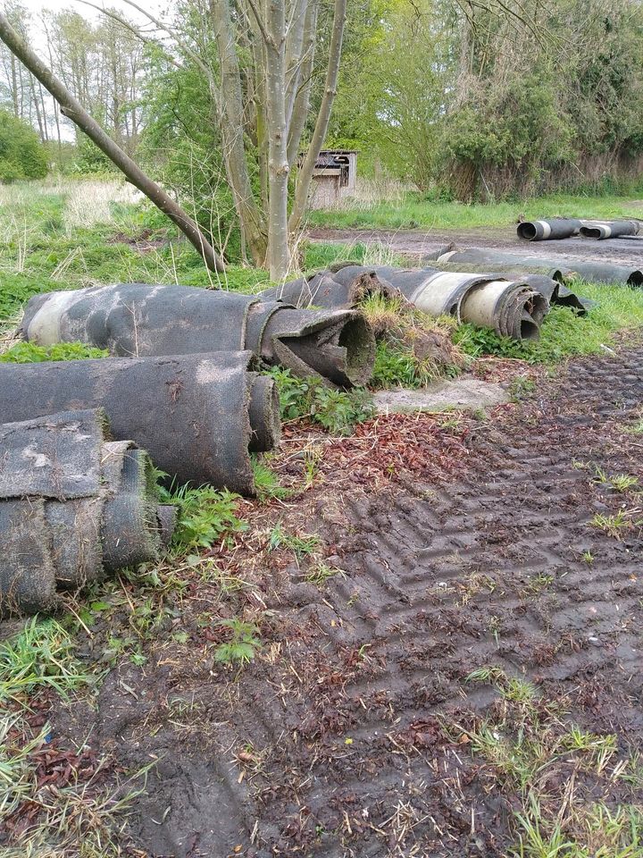 gebrauchter Kunstrasen  Pferdepaddock in Büchen