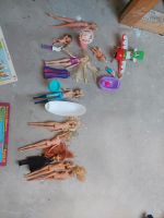 Barbies mädchenspielzeug Rheinland-Pfalz - Steinebach (Sieg) Vorschau