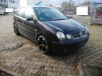 Volkswagen Polo IV Highline Rheinland-Pfalz - Pfaffen-Schwabenheim Vorschau