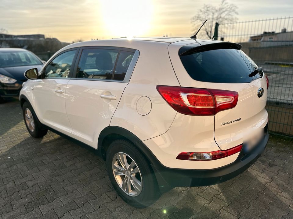 Kia Sportage in Solingen