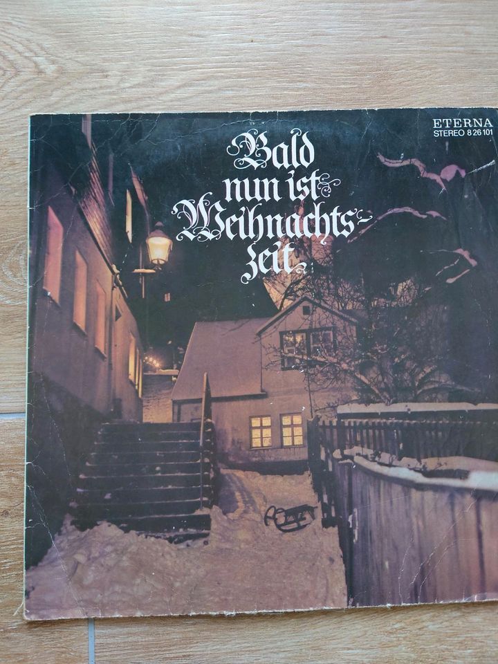 Schallplatten - Sammlung, Dachbodenfund in Liederbach