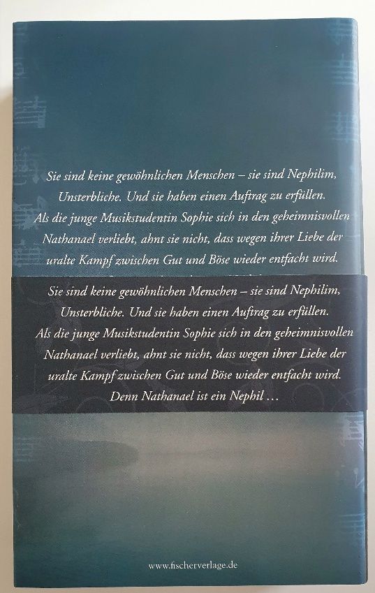 Buch, Der Kuss des Morgenlichts von Leah Cohn in Höhr-Grenzhausen