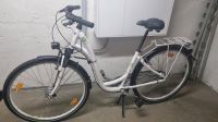 Carver Trekkingbike Tiefeinsteiger 28" Sachsen-Anhalt - Hettstedt Vorschau