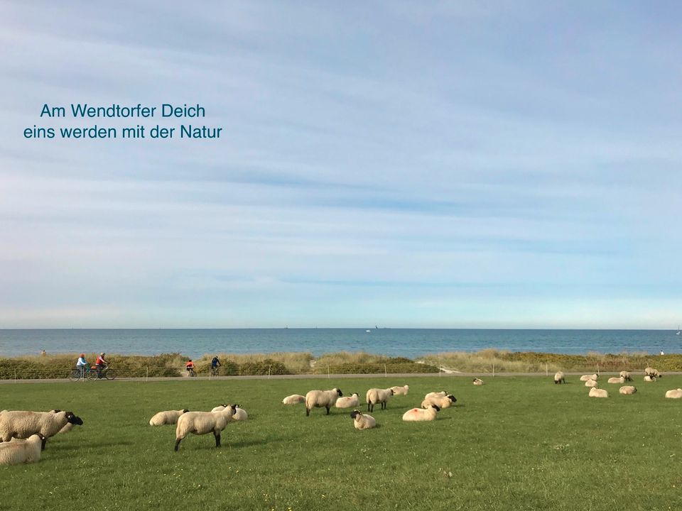 Sonnige Ferienwohnung mit Hund WR Balkon Ostsee 200m Wendtorf ab in Wendtorf