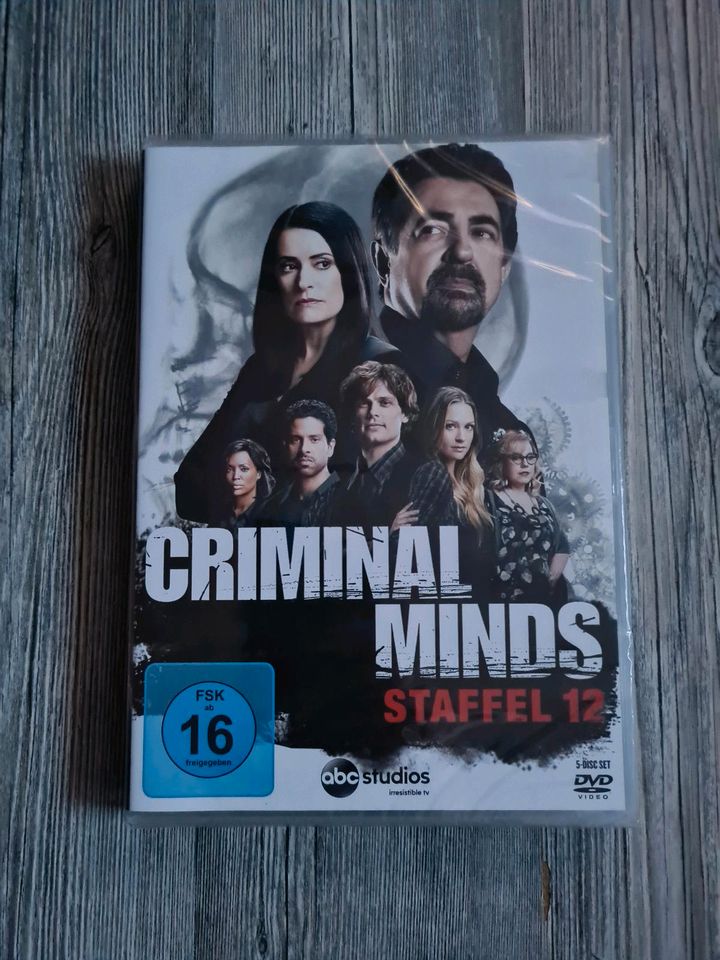 Criminal Minds Staffel 12 in Norden