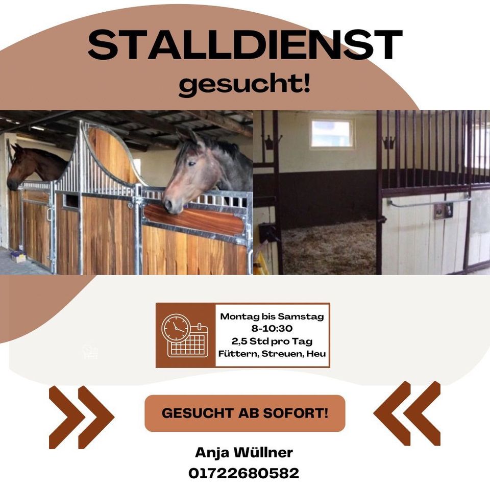 Stallhilfe, Minijob, Nebenjob in Bünde