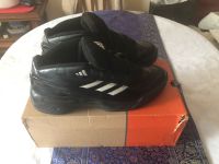 Adidas Winterschuhe schwarz München - Thalk.Obersendl.-Forsten-Fürstenr.-Solln Vorschau