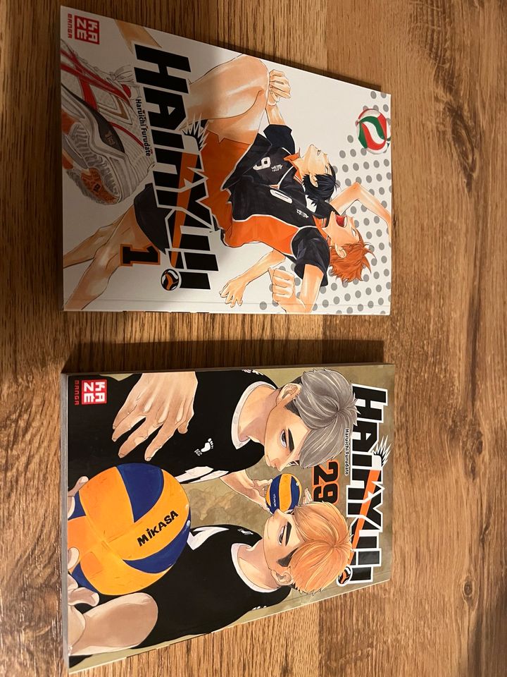 Haikyu Band 1 in Magdeburg