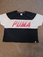 Puma Shirt Gr.40 Berlin - Hohenschönhausen Vorschau