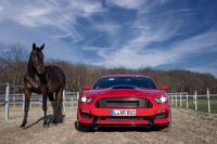 Ford Mustang Sportwagen mieten (fahren) Sachsen - Chemnitz Vorschau
