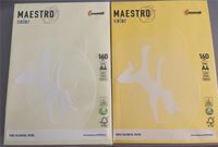 Mondi Maestro Color Papier intensiv/gelb Druckerpapier 160g A4 Hamburg-Nord - Hamburg Fuhlsbüttel Vorschau