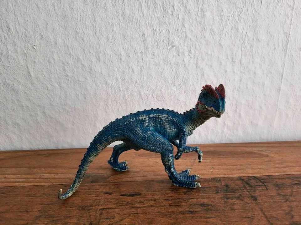 Schleich Figuren Dino, Eisbär, Löwe, Elefant usw in Neckarzimmern