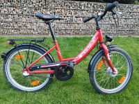 Pegasus Kinderfahrrad 20 Zoll Niedersachsen - Spelle Vorschau