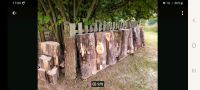 1.2 rm Brennholz Stamm vorgetrocknet Niedersachsen - Bad Münder am Deister Vorschau