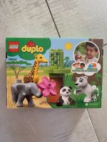 Lego Duplo - Neu und original verpackt Schleswig-Holstein - Selent Vorschau