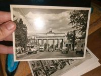 Alte Postkarten aus Berlin Niedersachsen - Emlichheim Vorschau