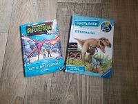 Dinosaurier Bücher Hessen - Lautertal Vorschau