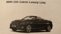 BMW 230 i Cabrio Luxury Line Niedersachsen - Hermannsburg Vorschau