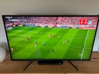 Sony Bravia UHD TV 43“ Bayern - Pegnitz Vorschau