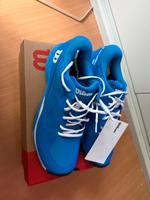 Tennisschuhe Wilson Rusch Pro ACE Clay Größe 47,5 Wandsbek - Hamburg Bramfeld Vorschau