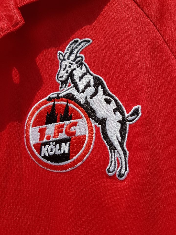 Biete 2 neue orginale Polo-Shirts vom 1.FC Köln!! Größe: L und XL in Burghaun