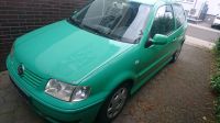 VW Polo 6N2 1.0 MPI Bj.2001 Grün Hessen - Hungen Vorschau