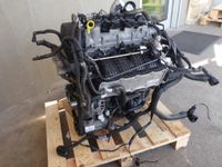 Motor CZE 1.4TSI 150PS VW POLO GOLF VII TIGUAN PASSAT 37TKM Berlin - Wilmersdorf Vorschau