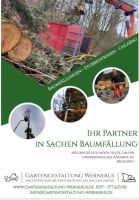 Baumfällung / Baumpflege / Sturmschaden / Gefahrbaumfällung ⚠️ Aachen - Aachen-Richterich Vorschau