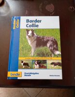 Border Collie Praxisratgeber Hunde Buch Thüringen - Eisfeld Vorschau