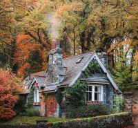 Wir suchen ein Haus oder eine große Wohnung mit Garten Bayern - Bad Steben Vorschau