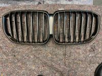 Kühlergrill Ziergitter BMW X5 G05 M50d 51137454888 Cerium Grey Nordrhein-Westfalen - Geldern Vorschau