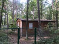 Kleiner Holz-Bungalow auf sicheren Pachtland zu verkaufen Sachsen - Wurzen Vorschau