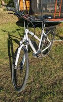 Hercules E-Bike 28" Damen Mecklenburg-Vorpommern - Neubrandenburg Vorschau