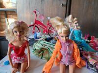 Barbie / diverse Puppen und Zubehör Sachsen-Anhalt - Bördeland Vorschau