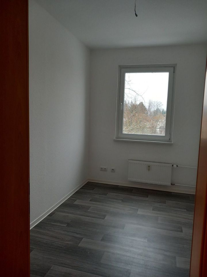 3 Zimmer, Küche, Bad, Balkon Am Schalm 1 a in Bad Düben in Bad Dueben