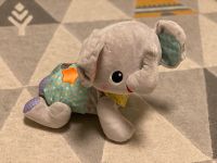 Vtech Baby Krabbel-mit-mir-Elefant/ Spielzeug für 9-36 Monate Nordrhein-Westfalen - Schwerte Vorschau