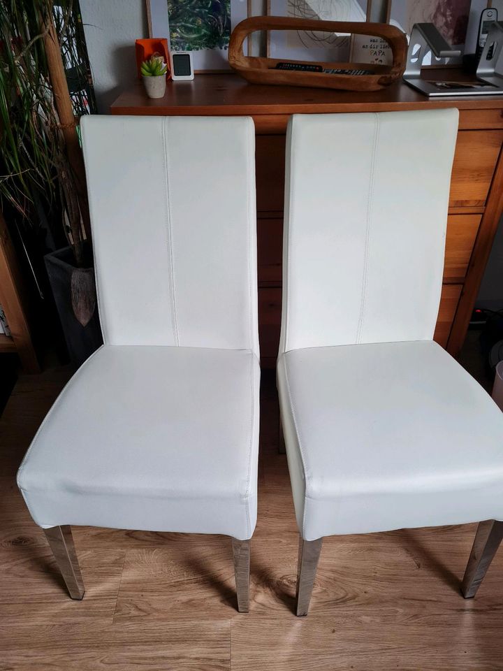 2 Stühle für Esstisch in Georgsmarienhütte
