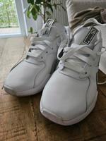 Puma Damen Sneaker Nordrhein-Westfalen - Lotte Vorschau