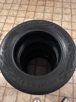 Continental Eco Contact 6 205/60 R 16 V Baden-Württemberg - Keltern Vorschau